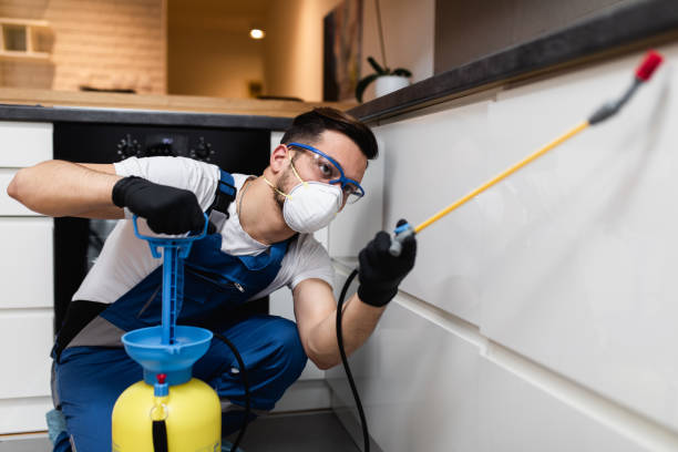Best Residential Pest Control  in Baldwin, MI
