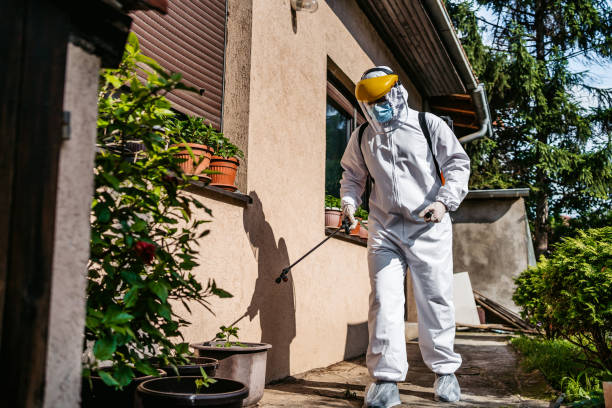 Best Pest Control Near Me  in Baldwin, MI