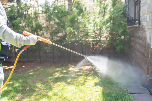 Best Bird Control  in Baldwin, MI
