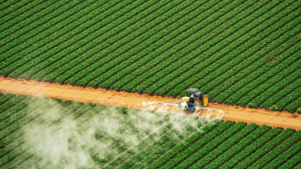 Best Commercial Pest Control Services  in Baldwin, MI